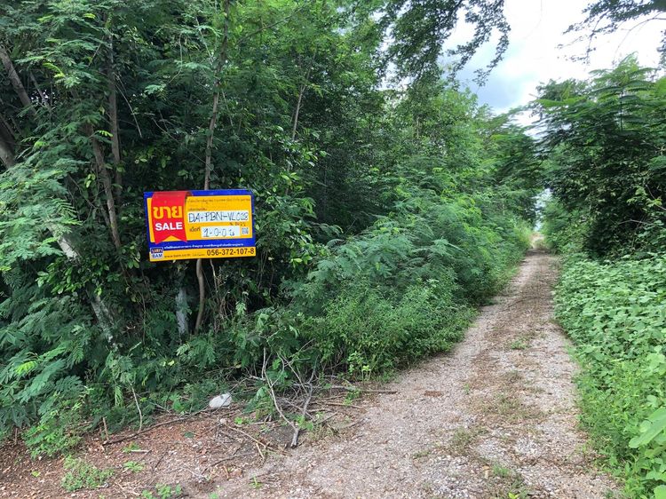 ใช่ 💖 ที่ดิน ศรีเทพ ราคาพิเศษ! 💖 รูปที่ 3