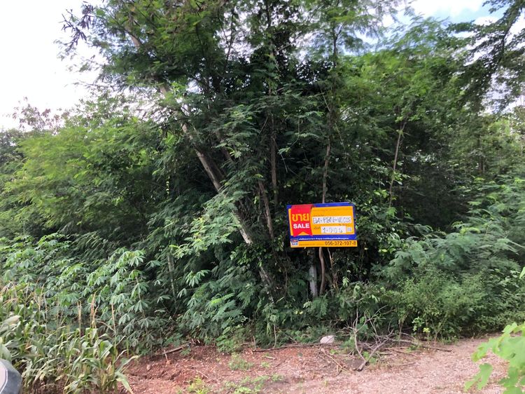 💖 ที่ดิน ศรีเทพ ราคาพิเศษ! 💖