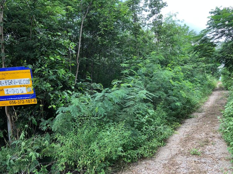 ใช่ 💖 ที่ดิน ศรีเทพ ราคาพิเศษ! 💖 รูปที่ 4