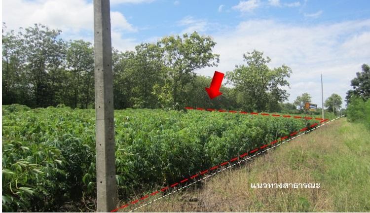 💖 ที่ดิน ศรีเทพ ราคาพิเศษ! 💖