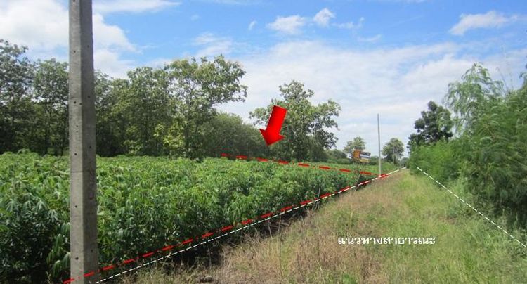 ใช่ 💖 ที่ดิน ศรีเทพ ราคาพิเศษ! 💖 รูปที่ 2