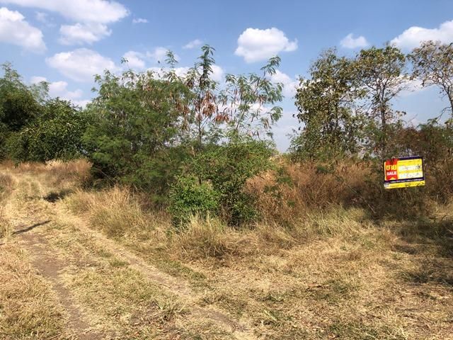 ใช่ 💖 ที่ดิน ศรีเทพ ราคาพิเศษ! 💖 รูปที่ 2