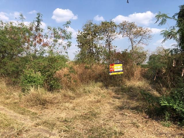 💖 ที่ดิน ศรีเทพ ราคาพิเศษ! 💖