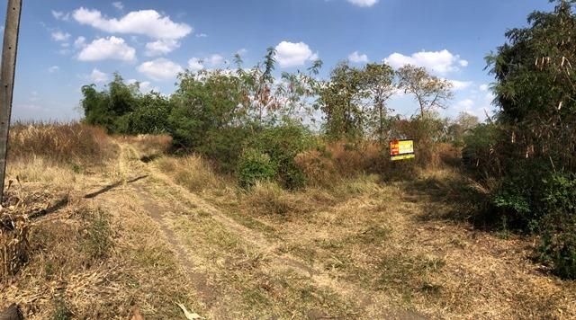 ใช่ 💖 ที่ดิน ศรีเทพ ราคาพิเศษ! 💖 รูปที่ 3