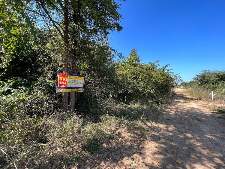 ใช่ 💖 ที่ดิน เมืองเพชรบูรณ์ ราคาพิเศษ! 💖