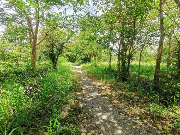 ใช่ 💖 ที่ดิน กบินทร์บุรี ราคาพิเศษ! 💖 รูปที่ 3