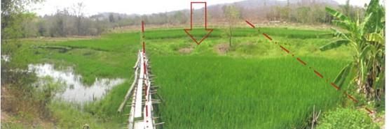 ใช่ 💖 ที่ดิน สูงเม่น ราคาพิเศษ! 💖 รูปที่ 3