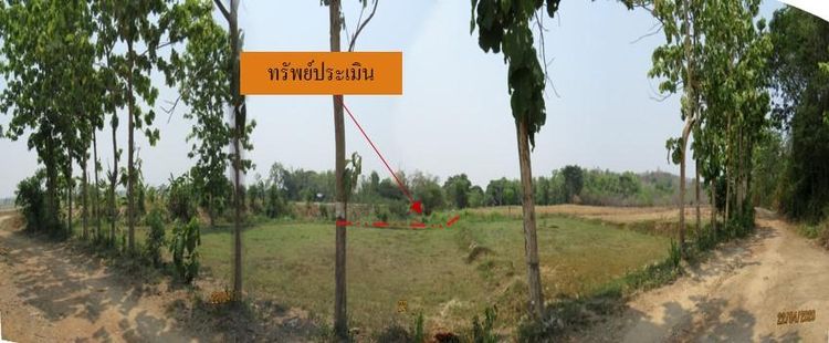 💖 ที่ดิน สูงเม่น ราคาพิเศษ! 💖