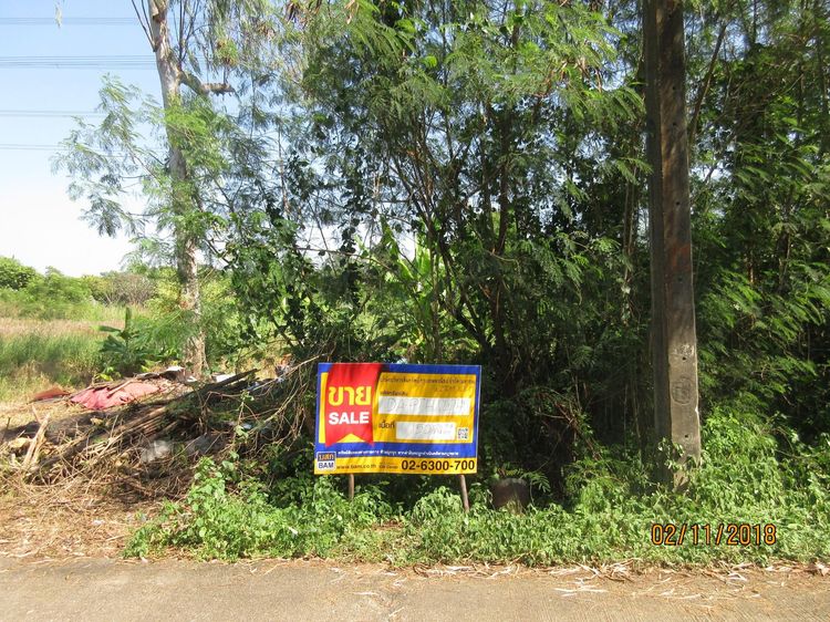 💖 ที่ดิน ธัญบุรี ราคาพิเศษ! 💖