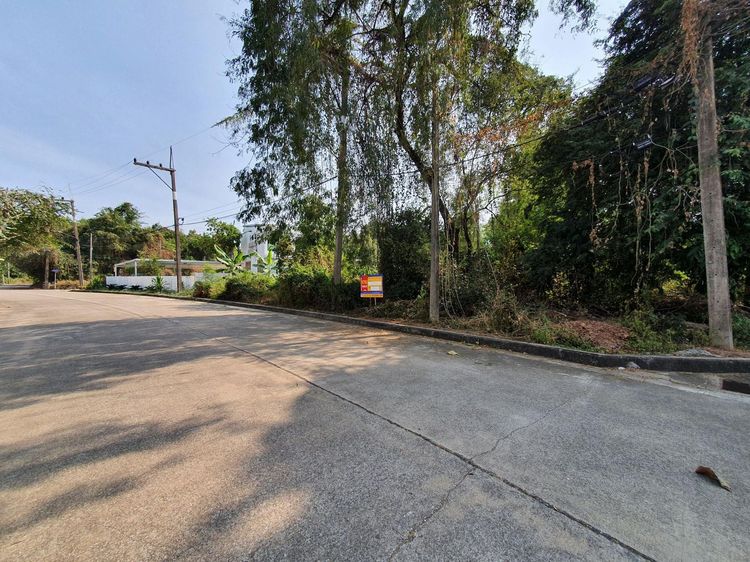 ใช่ 💖 ที่ดิน เมืองปทุมธานี ราคาพิเศษ! 💖 รูปที่ 3