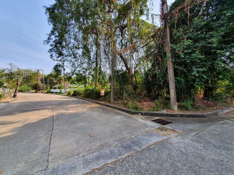 ใช่ 💖 ที่ดิน เมืองปทุมธานี ราคาพิเศษ! 💖 รูปที่ 2