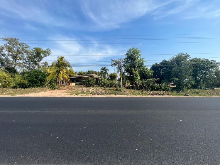 💖 ที่ดิน จตุรพักตรพิมาน ราคาพิเศษ! 💖