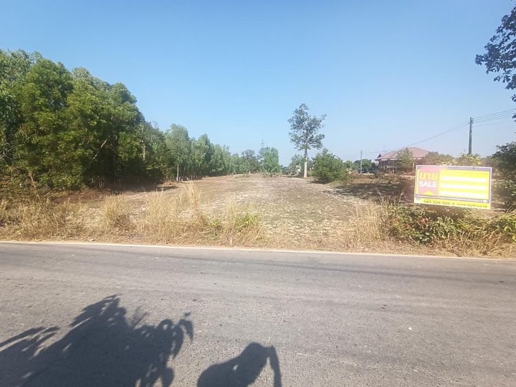 ใช่ 💖 ที่ดิน เมืองร้อยเอ็ด ราคาพิเศษ! 💖 รูปที่ 2