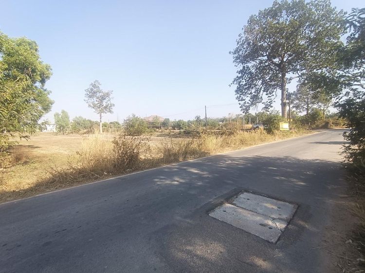 ใช่ 💖 ที่ดิน เมืองร้อยเอ็ด ราคาพิเศษ! 💖 รูปที่ 3