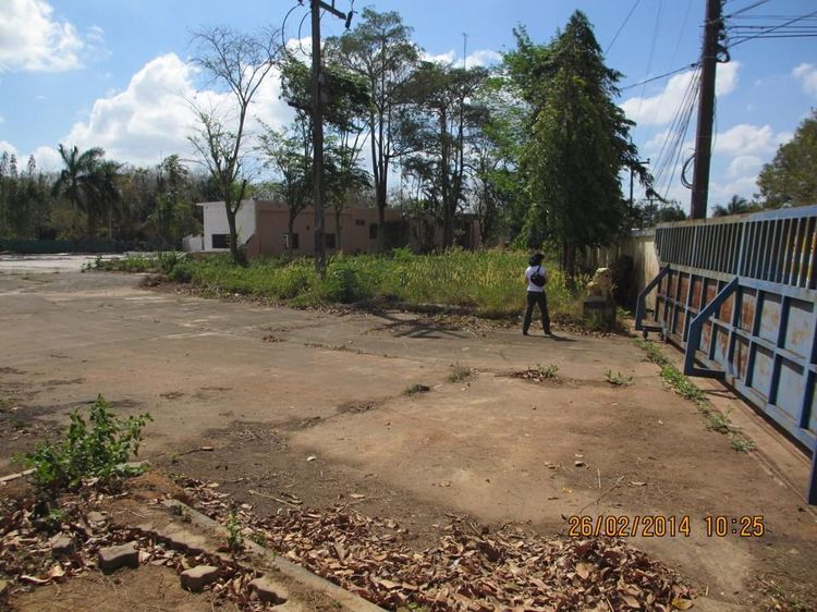 ใช่ 💖 ที่ดิน บางกล่ำ ราคาพิเศษ! 💖 รูปที่ 4