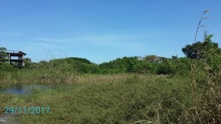 💖 ที่ดิน บางพลี ราคาพิเศษ! 💖 รูปที่ 4