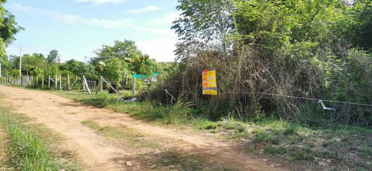 ใช่ 💖 ที่ดิน เมืองสระแก้ว ราคาพิเศษ! 💖 รูปที่ 3