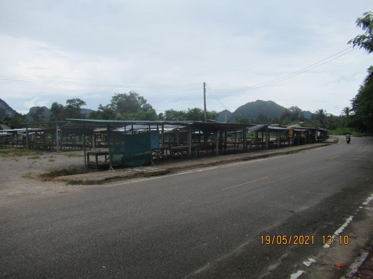 ใช่ 💖 ที่ดิน คีรีรัฐนิคม ราคาพิเศษ! 💖 รูปที่ 4