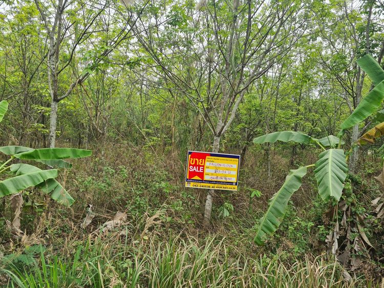 💖 ที่ดิน กุดจับ ราคาพิเศษ! 💖