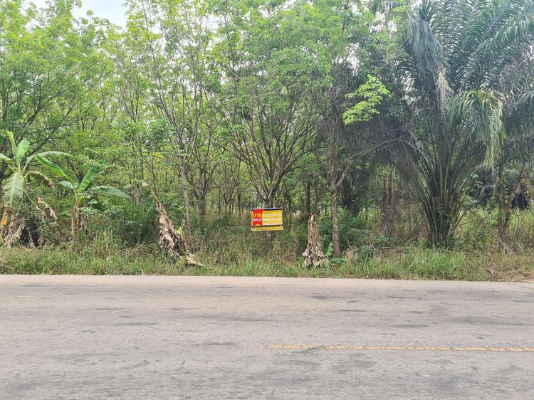 ใช่ 💖 ที่ดิน กุดจับ ราคาพิเศษ! 💖 รูปที่ 3