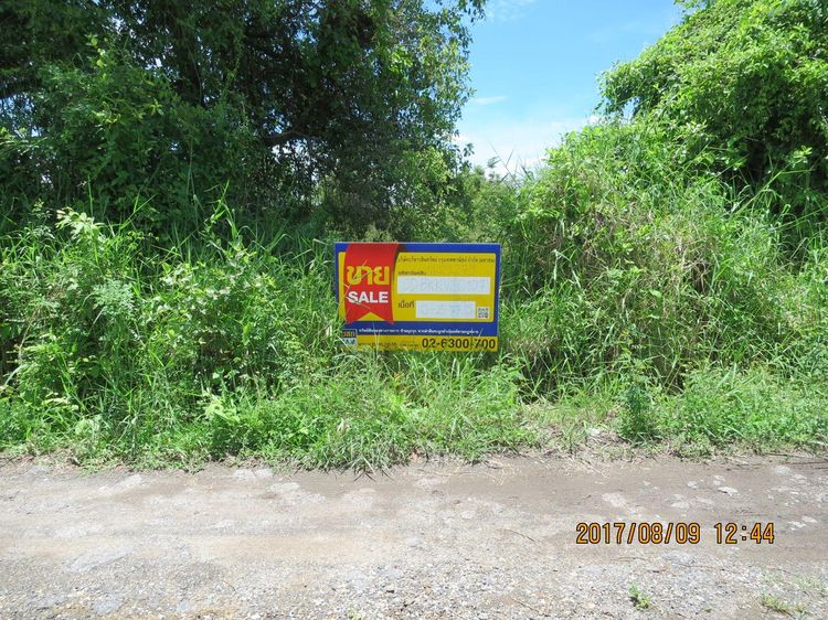 ใช่ 💖 ที่ดิน หนองจอก ราคาพิเศษ! 💖