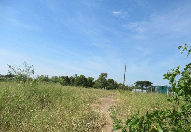 💟 ที่ดินเปล่า โครงการรมณีย์ เลค แลนด์ หนองจอก 💟 รูปที่ 3