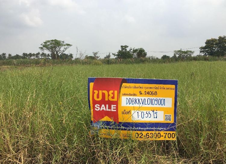 💖 ที่ดิน หนองจอก ราคาพิเศษ! 💖