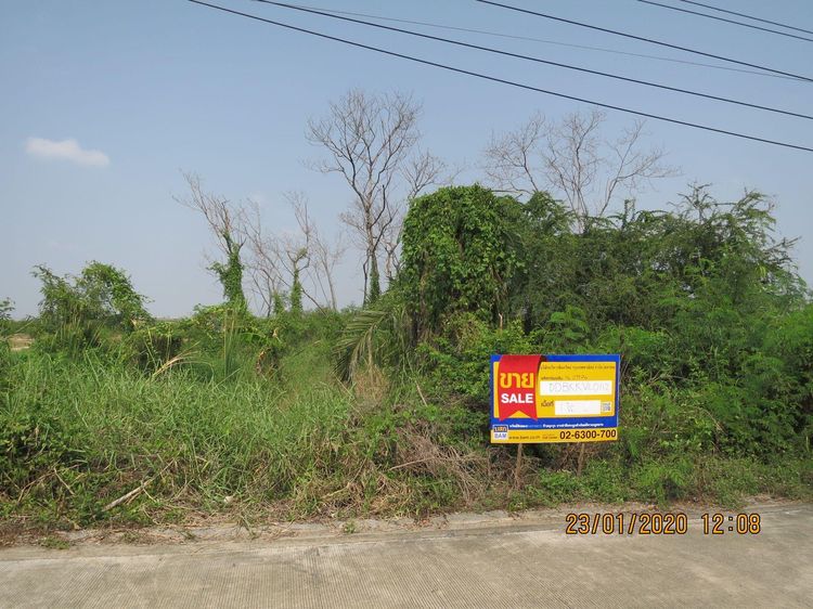 ใช่ 💖 ที่ดิน หนองแขม ราคาพิเศษ! 💖 รูปที่ 2