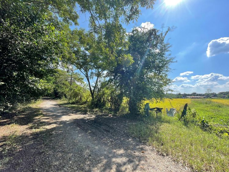 ใช่ 💖 ที่ดิน สันทราย ราคาพิเศษ! 💖 รูปที่ 2