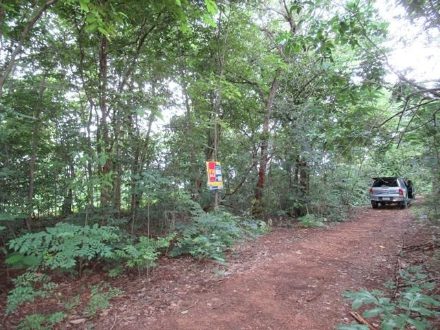 ใช่ 💖 ที่ดิน แม่แตง ราคาพิเศษ! 💖 รูปที่ 3