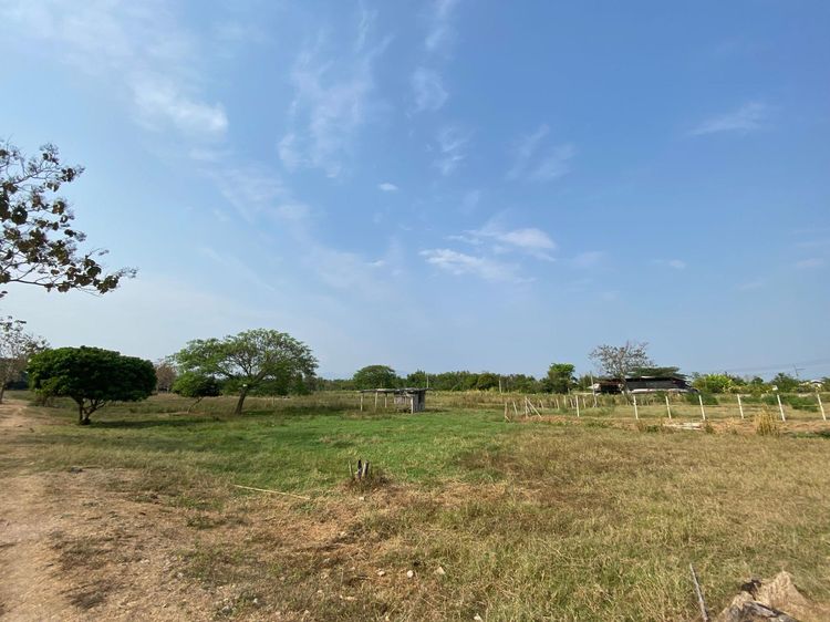 ใช่ 💖 ที่ดิน สันป่าตอง ราคาพิเศษ! 💖 รูปที่ 3