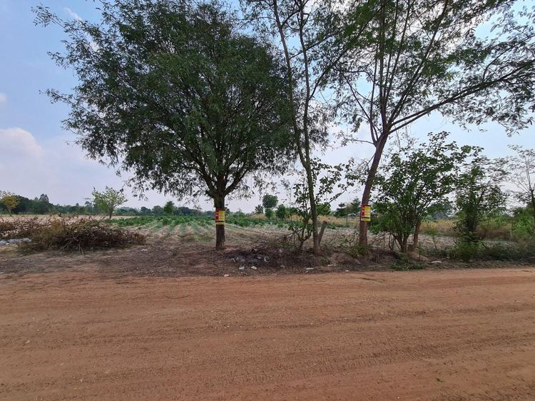 āđāļāđ ð āļāļĩāđāļāļīāļ āđāļĄāļ·āļāļāļāļāļāđāļāđāļ āļĢāļēāļāļēāļāļīāđāļĻāļĐ! ð āļĢāļđāļāļāļĩāđ 3