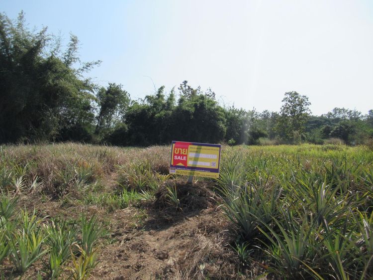 💖 ที่ดิน เมืองลำปาง ราคาพิเศษ! 💖