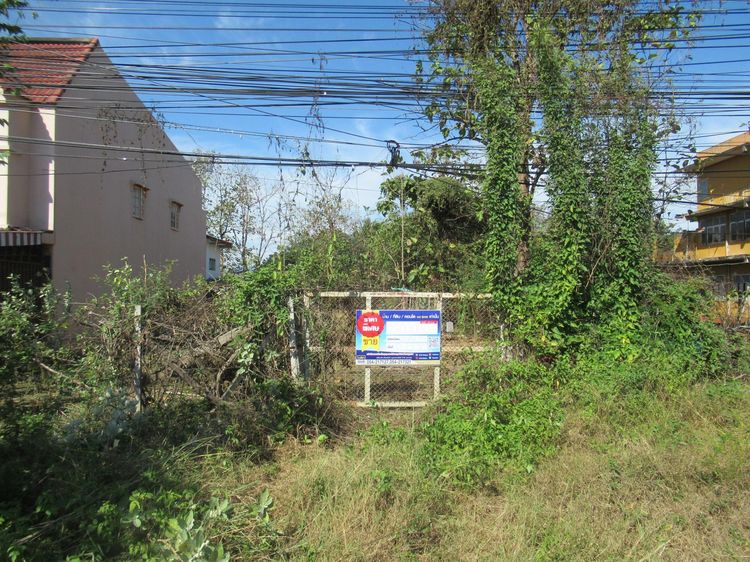 ใช่ 💖 ที่ดิน เถิน ราคาพิเศษ! 💖