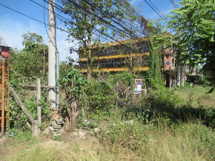 ใช่ 💖 ที่ดิน เถิน ราคาพิเศษ! 💖 รูปที่ 3