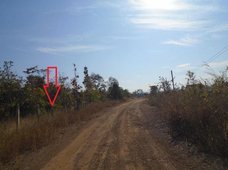 ใช่ 💖 ที่ดิน เมืองลำปาง ราคาพิเศษ! 💖 รูปที่ 4