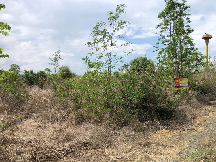 💖 ที่ดิน เมืองเพชรบูรณ์ ราคาพิเศษ! 💖