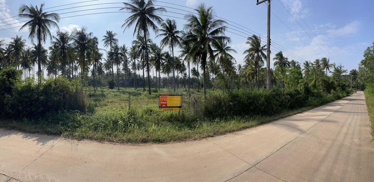 💖 ที่ดิน บางสะพาน ราคาพิเศษ! 💖