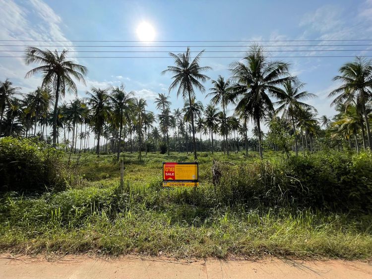 ใช่ 💖 ที่ดิน บางสะพาน ราคาพิเศษ! 💖 รูปที่ 4