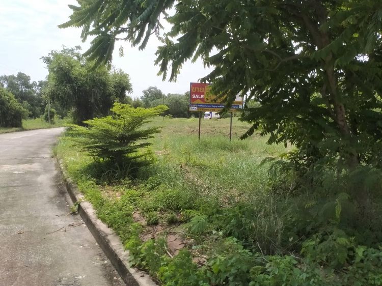 ใช่ 💖 ที่ดิน คลองหลวง ราคาพิเศษ! 💖 รูปที่ 2