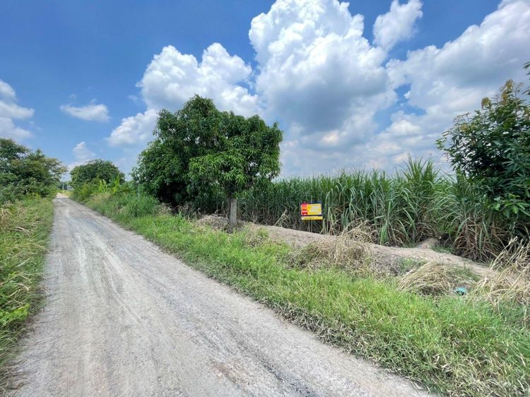 💖 ที่ดิน บางระจัน ราคาพิเศษ! 💖