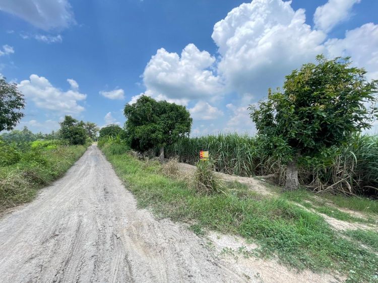 ใช่ 💖 ที่ดิน บางระจัน ราคาพิเศษ! 💖 รูปที่ 2