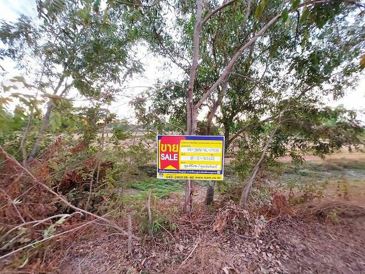 ใช่ 💖 ที่ดิน พรรณานิคม ราคาพิเศษ! 💖 รูปที่ 4