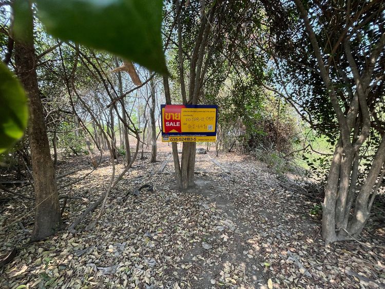 ใช่ 💖 ที่ดิน สองพี่น้อง ราคาพิเศษ! 💖