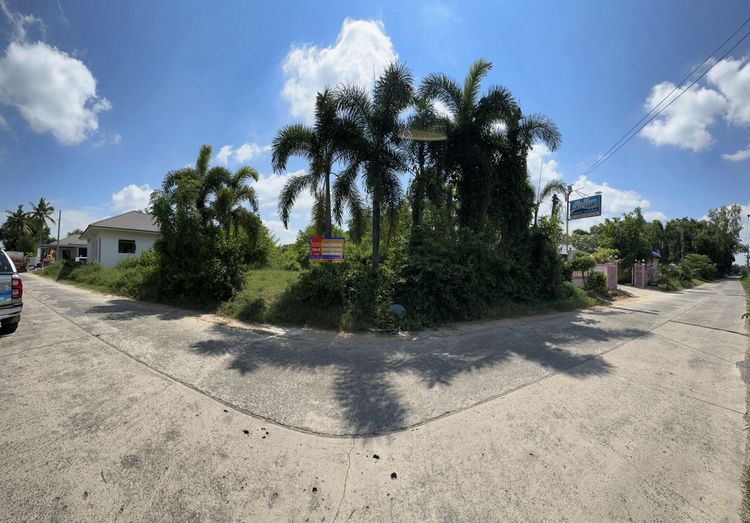 ใช่ 💖 ที่ดิน เมืองสุรินทร์ ราคาพิเศษ! 💖 รูปที่ 3