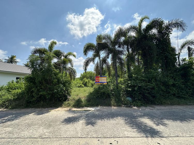 ใช่ 💖 ที่ดิน เมืองสุรินทร์ ราคาพิเศษ! 💖 รูปที่ 2