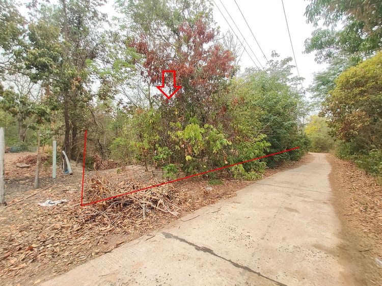 ใช่ 💖 ที่ดิน ม่วงสามสิบ ราคาพิเศษ! 💖 รูปที่ 3