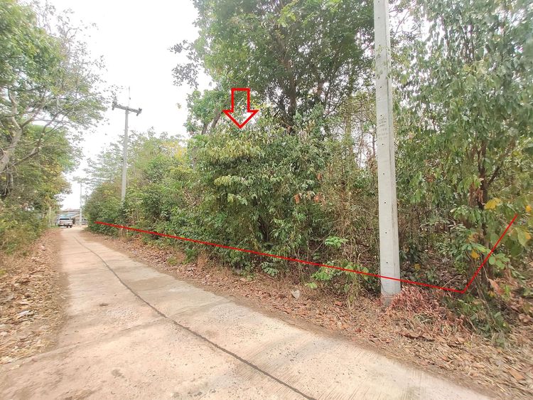 ใช่ 💖 ที่ดิน ม่วงสามสิบ ราคาพิเศษ! 💖 รูปที่ 2