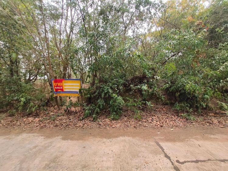 💖 ที่ดิน ม่วงสามสิบ ราคาพิเศษ! 💖