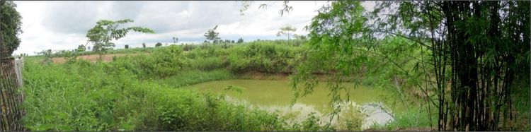 ใช่ 💖 ที่ดิน กุมภวาปี ราคาพิเศษ! 💖 รูปที่ 2